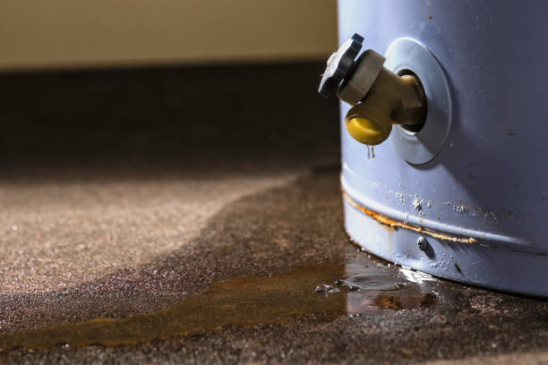 Best 24-hour water damage restoration  in Brodhead, WI