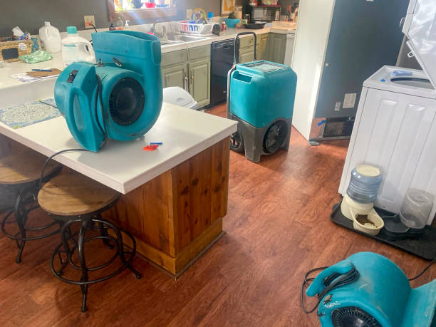Best Sewage cleanup and water damage restoration  in Brodhead, WI