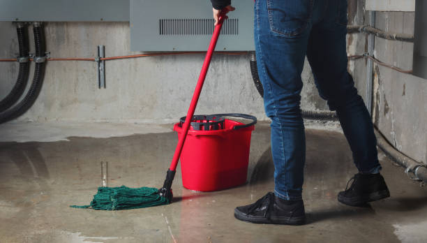 Sewage cleanup and water damage restoration in Brodhead, WI