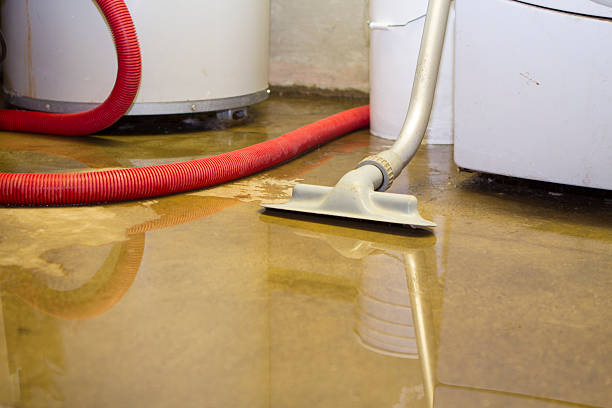 Best Sewage cleanup and water damage restoration  in Brodhead, WI