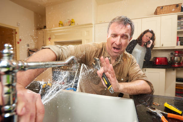 Best Water damage restoration specialists  in Brodhead, WI
